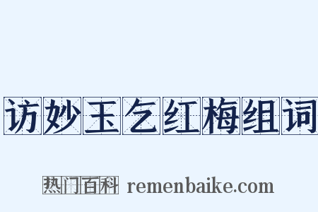访妙玉乞红梅组词是什么意思的图片